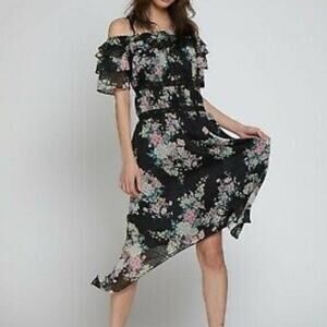 Walter Baker Hansen Summer Night Floral Asymmetrical Dress